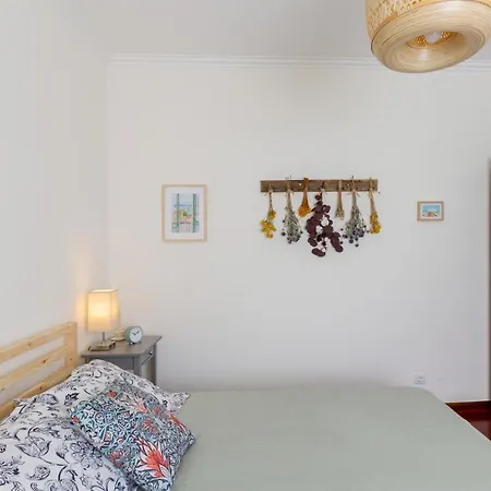 Casa Dos Jacintos - Sao Jacinto, Lägenhet Aveiro