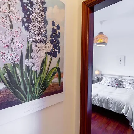 Casa Dos Jacintos - Sao Jacinto, أفيرو