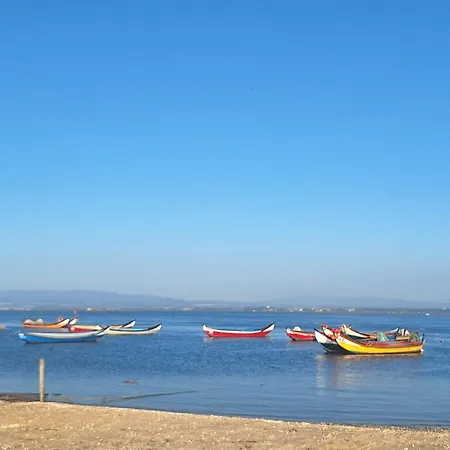Casa Dos Jacintos - Sao Jacinto, Lägenhet Aveiro